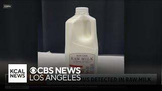 Raw milk recall after bird flu virus detected