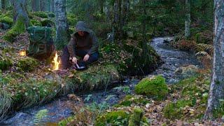 5 Days Bushcraft and Camping in the Wilderness