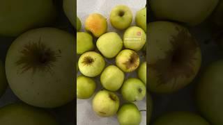 Making apple jelly #shorts #foodshorts #applejelly