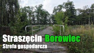 Strefa gospodarcza w Straszęcinie, ośrodek Borowiec