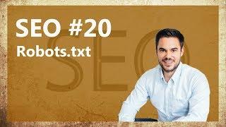 SEO Wissen - Eine Robots.txt Datei im WordPress / SEO #20