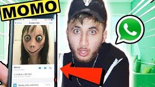 DONT MESSAGE MOMO ON WHATSAPP AT 3AM *THIS IS WHY* | MOMO CALLED ME ON FACETIME 3AM