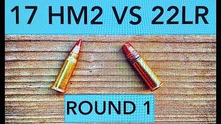 22lr vs the little step brother the 17 MACH 2 episode 1