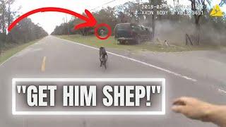 German Shepherd Dog Chases Down Bad Guy After Being Separated From Deputy