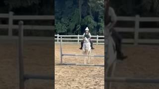New record for Ely and Ziggy!!@Ely_Equestrian ️#horse #equestrian #zoe&louis