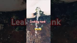 Water tank Leakeg  VipPlumber YT #shorts #vipplumberyt