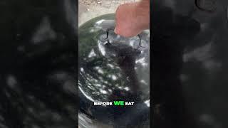 Weber Grill Smoking: Pork Shoulder at 250 Degrees - Amazing!