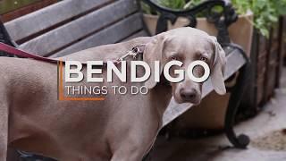 Bendigo: Top things to do