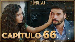 Hercai - Capítulo 66