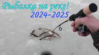 Первый лёд на реке! 2024-2025 Рыбалки на жерлицы и балансиры