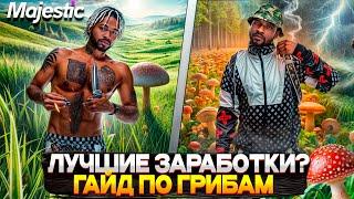 ГАЙД по ГРИБАМ на MAJESTIC RP 2025! ЛУЧШИЕ ЗАРАБОТКИ в GTA 5 RP?