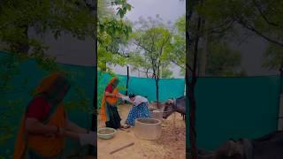 Part-2#morningroutine #villagelife #mini #rajsthaniculture
