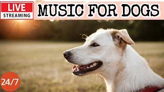 LIVEDog MusicDog Calming MusicAnti Separation Anxiety Relief MusicSleeping Music For Dogs2-3