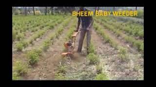 GAIN-BHEEM Baby Weeder