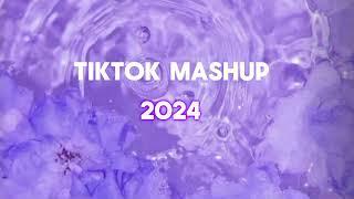 Tiktok mashup 2024 (clean)