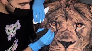 Amazing Lion Tattoo On Back