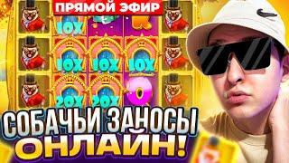 Ловим заносы недели в слотах в прямом эфире! #shorts #заносынедели #стрим