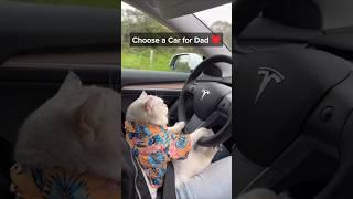 Choose a car for Dad ️ #automobile #cars #shorts