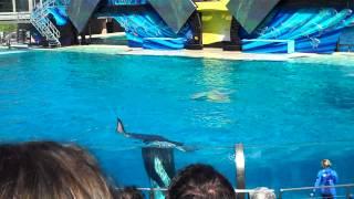 Sea World