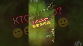 Кто кого? 