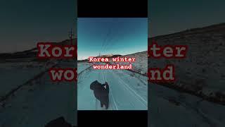 Winter wonderland Korea Style