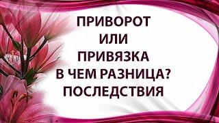 ПРИВОРОТ ИЛИ ПРИВЯЗКА, В ЧЕМ РАЗНИЦА, ПОСЛЕДСТВИЯ