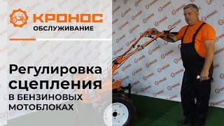 Регулировка сцепления в бензиновых мотоблоках (kronos5.by/kronos5.ru)