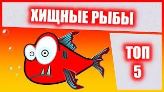 Хищные аквариумные рыбки ТОП 5