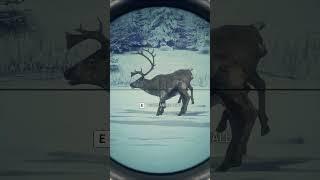 Caribou Combo  | theHunter: Call of the Wild