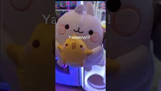 Claw machine WIN! Molang and Piu Piu huge plushie! #clawmachinewin #cranegamewin #molangandpiupiutoy