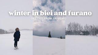 day trip from sapporo | winter in biei and furano, shirasu falls, ningle terrace, biei blue pond