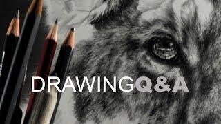 Wildlife Artist - Lion Cub Drawing + Q & A