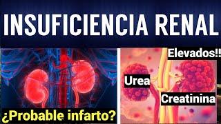 INSUFICIENCIA RENAL AGUDA Y CRÓNICA | Fisiopatología, Síntomas y Tratamiento |