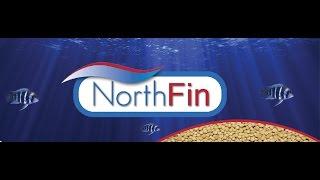 NORTHFIN FISH FOOD on NorthFinUSA