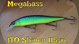 Megabass ITO SHINER 115sp. Ловля щуки!