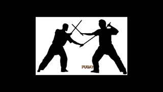 JAYLORD B. CAMPO | PE103 9:30-11:30 AM MW | 6 STRIKING AND BLOCKING IN ARNIS