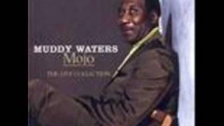 Muddy Waters - Got my Mojo Working