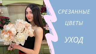 УХОД ЗА СРЕЗАННЫМИ ЦВЕТАМИ | ПОЛЕЗНЫЕ СОВЕТЫ | Основы флористики