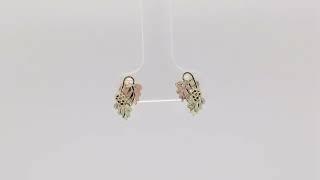 Black Hills Gold Grape Cluster Earrings, 10k Yellow Gold, 12k Green and 12k Rose Gold