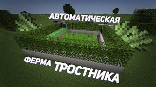 АВТО-ФЕРМА ТРОСТНИКА В MINECRAFT [1.15-1.21]