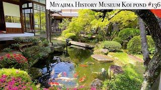 Itsukushima Shrine and Miyajima Historical Museum koi pond (Miyajima, Hiroshima)