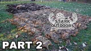 SQUIRREL HUNTING WITH CURS. Stark Outdoors Presents The Jukebox Kennels 8th Annual Meat Hunt. Part 2