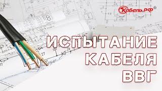 Испытание кабеля ВВГ пнг