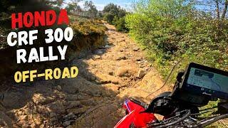 Tough Off-Road Adventure: Honda CRF 300 Rally