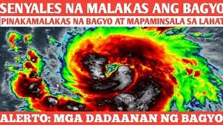 LUZON: SUPER BAGYONG "Pepito"(#Manyi) LUMALAKAS SA DAGAT️LANDFALL SA CL,NL️FORECASTVTRACK 11-15-24