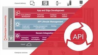 Axway AMPLIFY API Management Overview