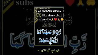 Quran ki best aayat#Shahnaz islamic #trending wazifa #Viralshorts#islamicprayer #bestdua #dua