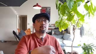 川普说自己下周二会被逮捕：闲聊两句对川普的态度，从喜欢到怀疑、再到无感