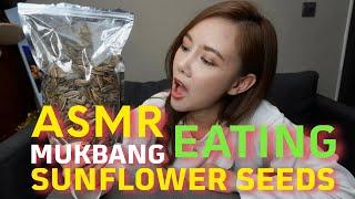 【ASMR】Eating & Cracking Sunflower Seeds | Mukbang | Mouth Sounds