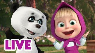  LIVE STREAM  Masha and the Bear  The More The Merrier ️